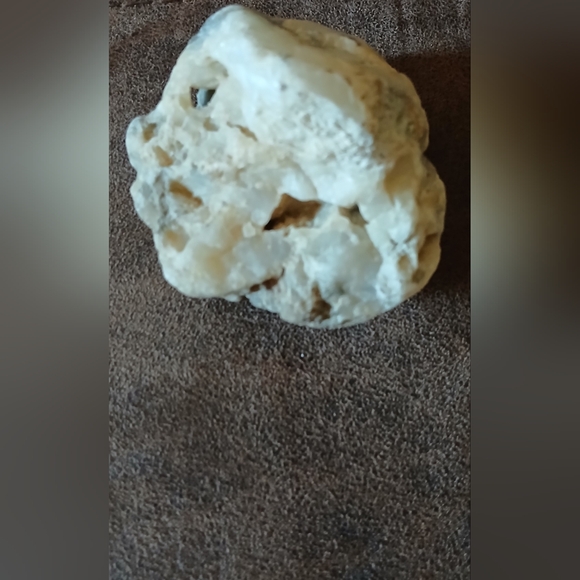 Mineral Quartz Rock Shaped Like an Animal Skull Great for Collector's - Picture 4 of 6